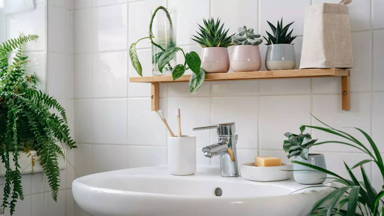 vastu tips bathroom plants