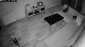 Bhukamp Ka Video