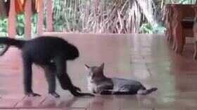 Friendship Video