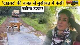 Tiger Actress Raveena Tandon
