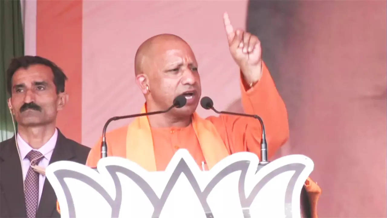 Yogi in Khatauli