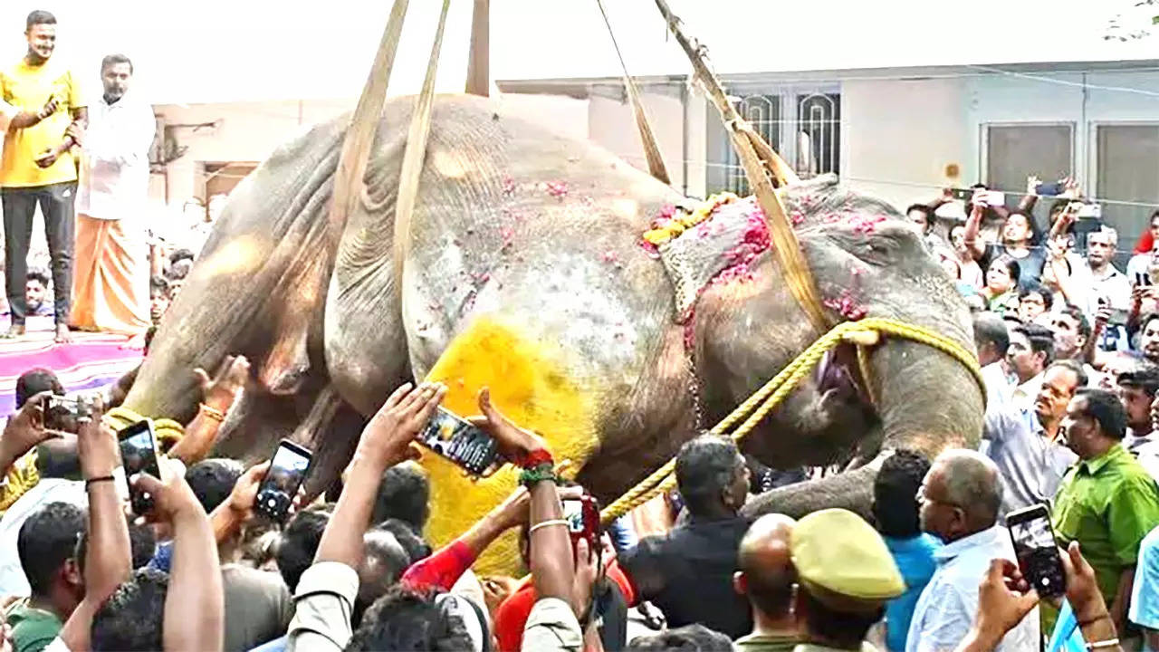 Death of Puducherry's elephant Lakshmi