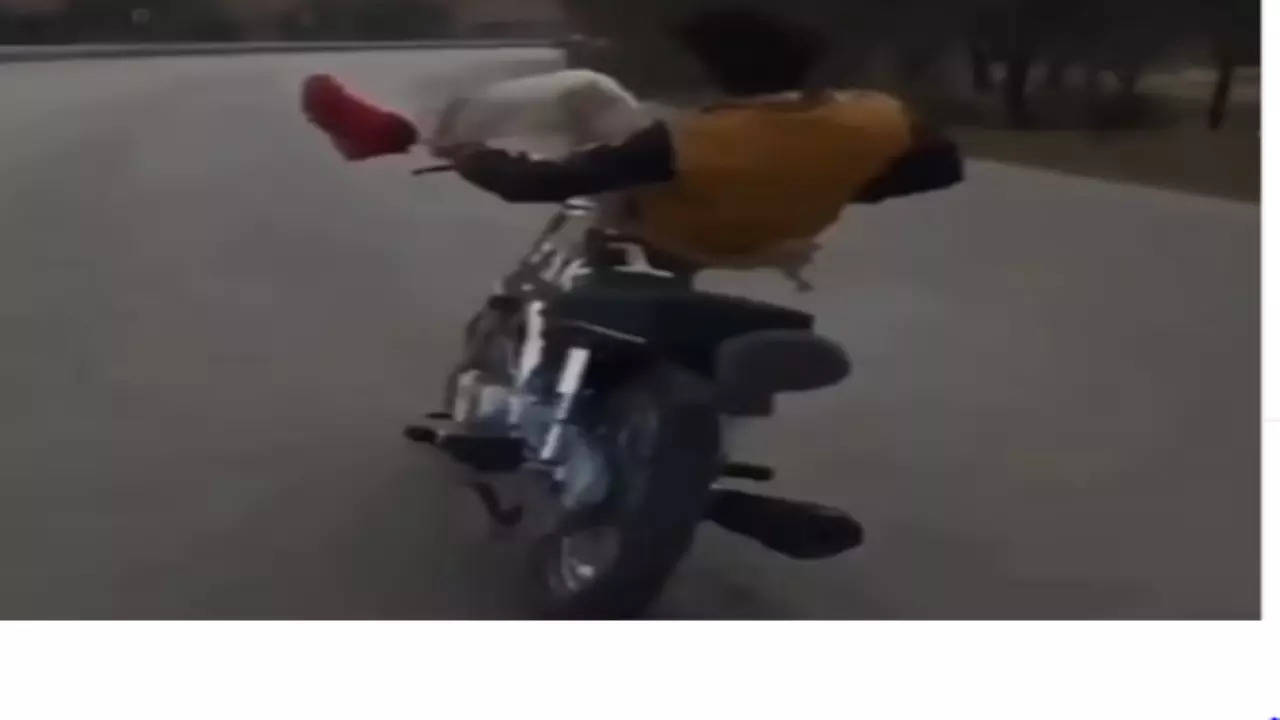 Stunt Video