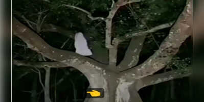 Bhoot ka Video