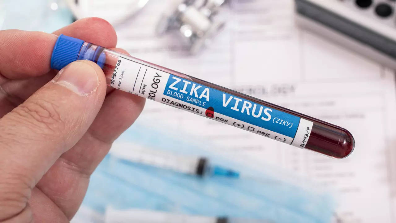 zika virus