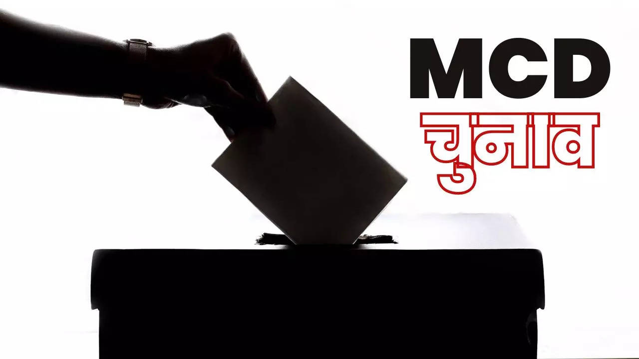 mcd polls 2022