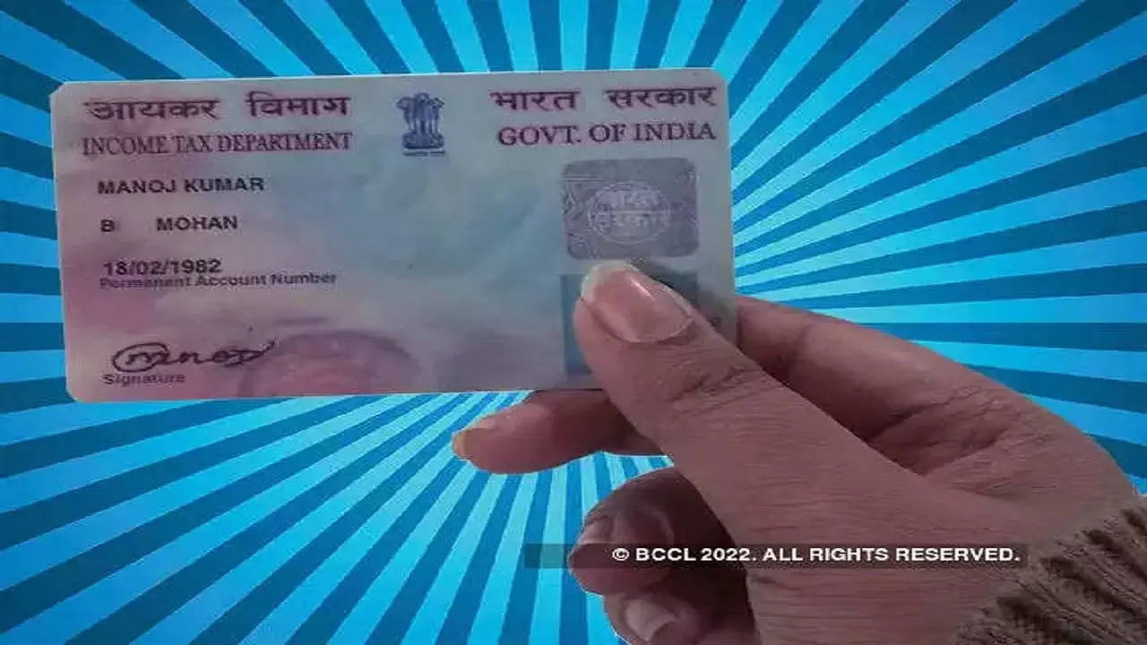 pan-card-use-of-pan-card-for-nsws-says-piyush-goyal-businesses-may