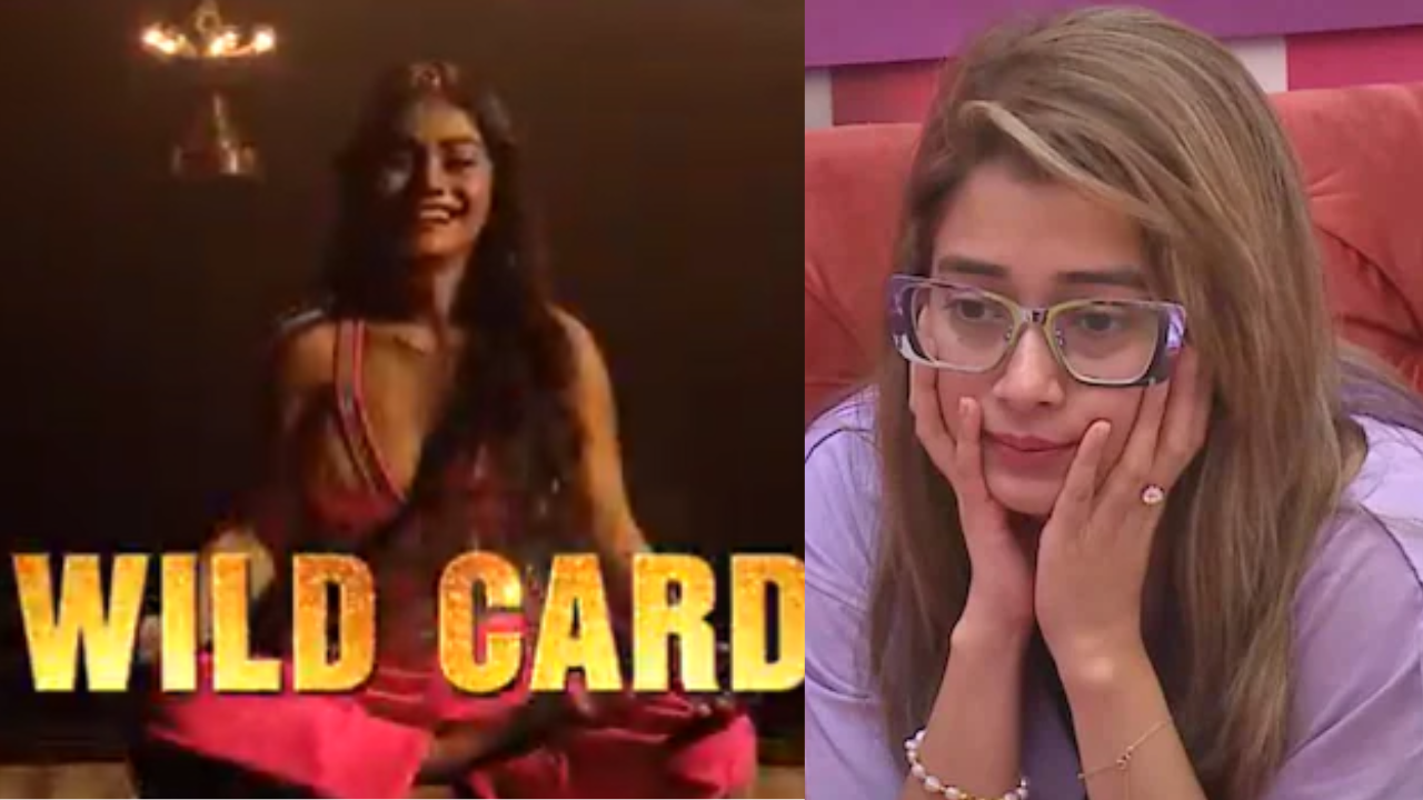 Bigg Boss 16: Shreejita de and Tina Dutta