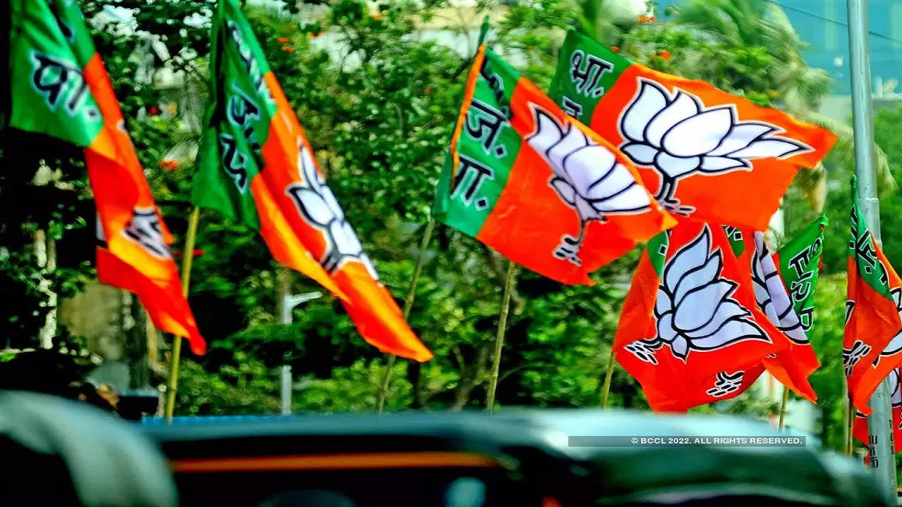 bjp flag