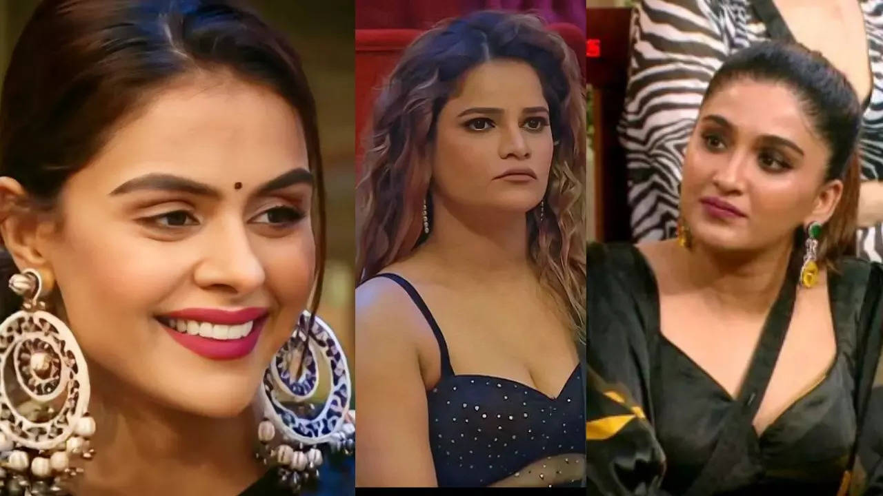 bigg boss 16 (40)