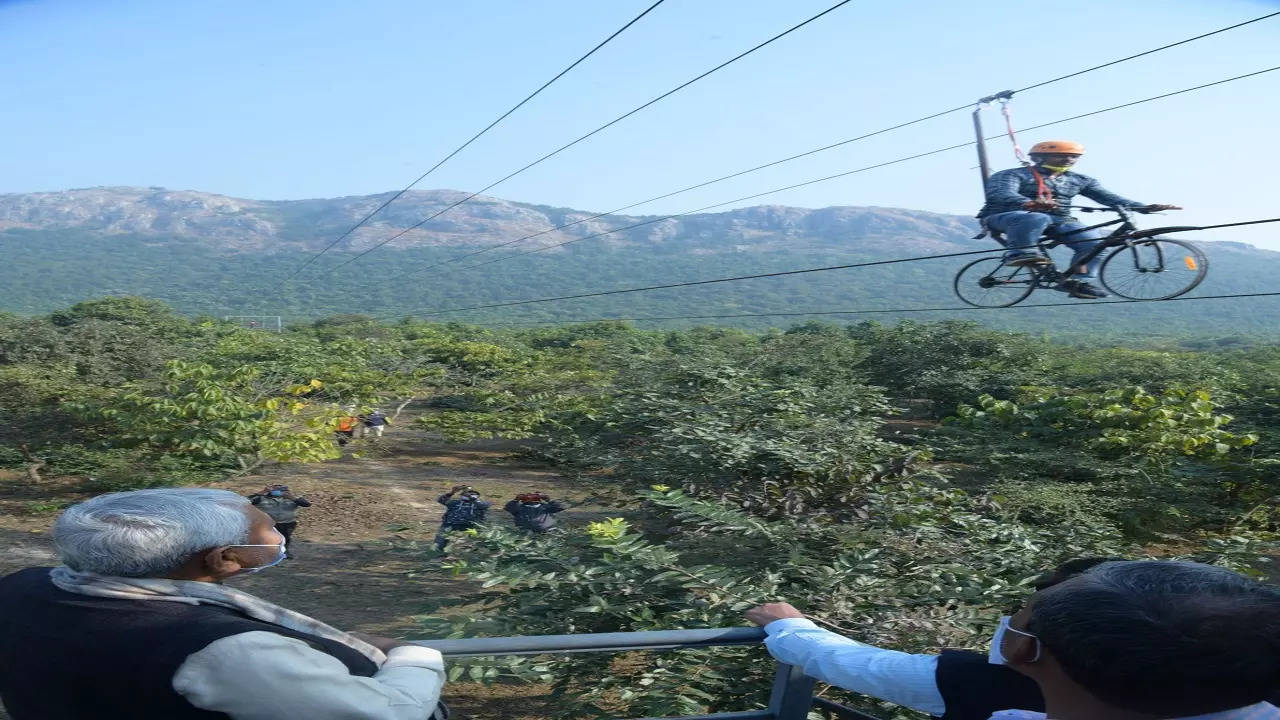 rajgir zoo safari