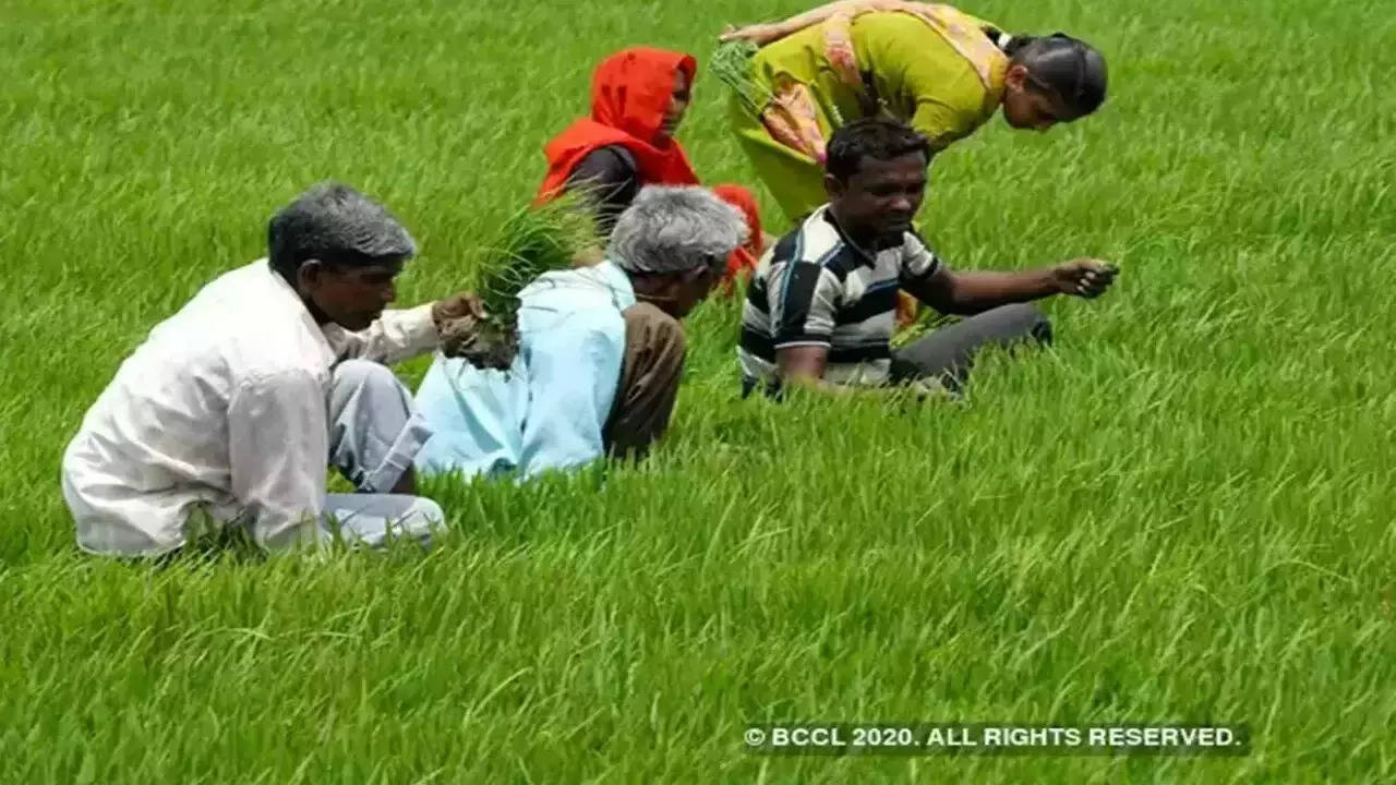 Kisan Diwas 2022 Quotes, Wishes: किसान दिवस पर किसान भाइयों को भेजें ये शुभकामना संदेश, धरती पुत्रों को करें सलाम