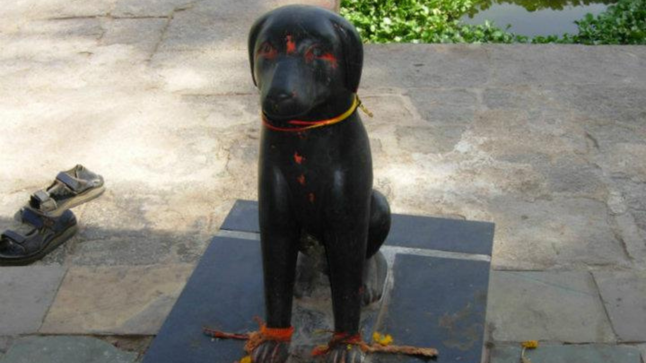 Dog Mausoleum ghaziabad 