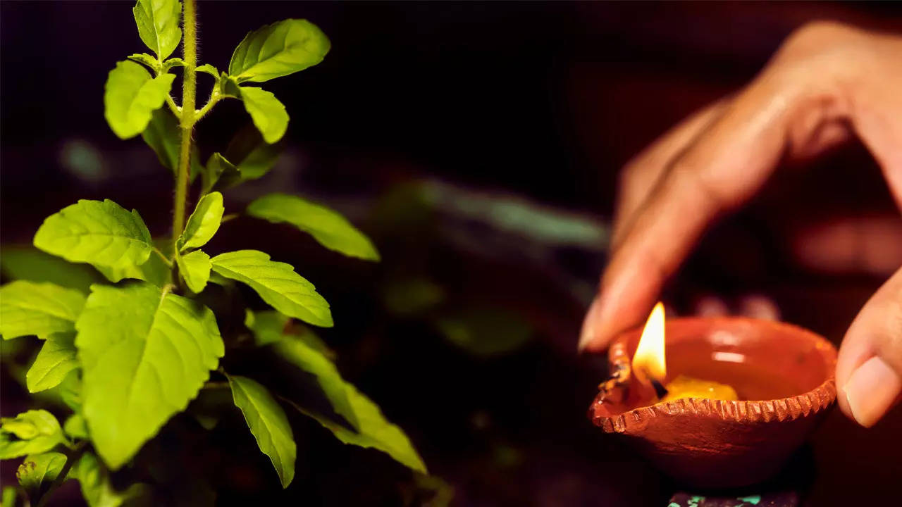 Tulsi-Pujan-Diwas