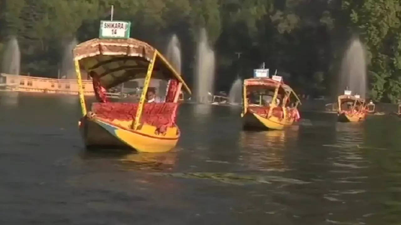 Kashmir Shikara boat