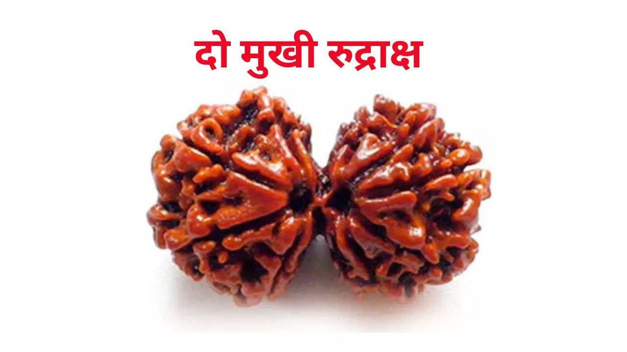 Rudraksha tips.