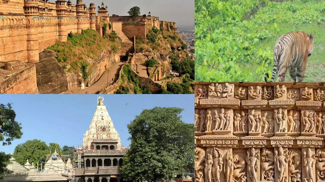 Best Places to Visit in MP: हिंदुस्तान का दिल है मध्य प्रदेश, इन खास जगहों पर मनाएं न्यू ईयर 2023 का जश्न