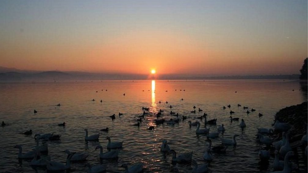 Sukhna Lake