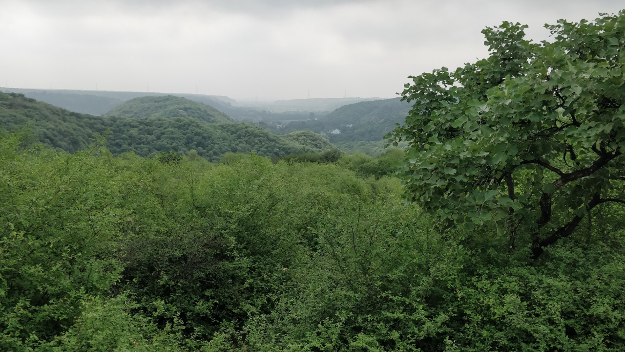 Aravalli Hills