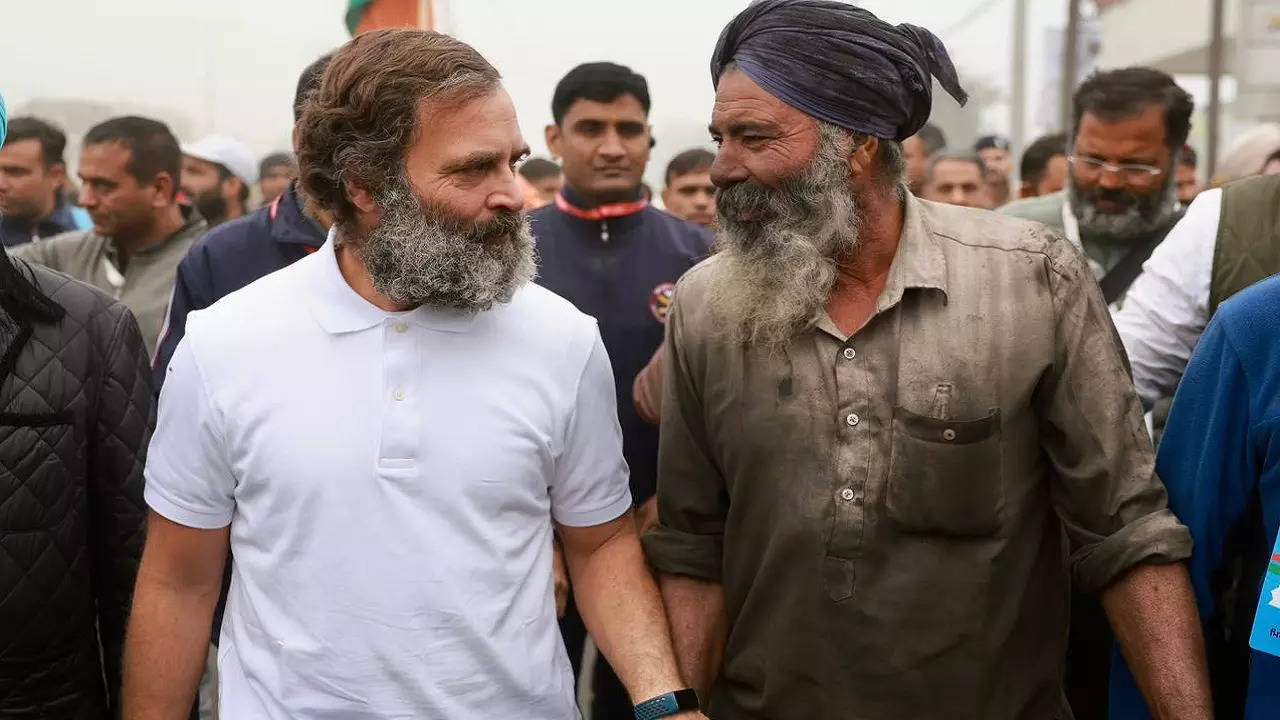 rahul gandhi bharat jodo yatra punjab