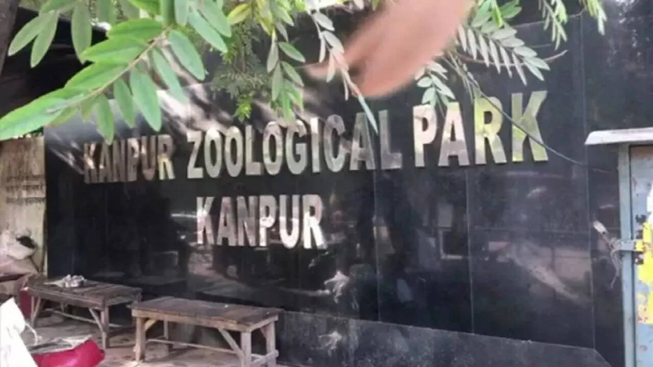 Jungle Safari Reopen In Kanpur Zoo Will Be Able To See Animals With