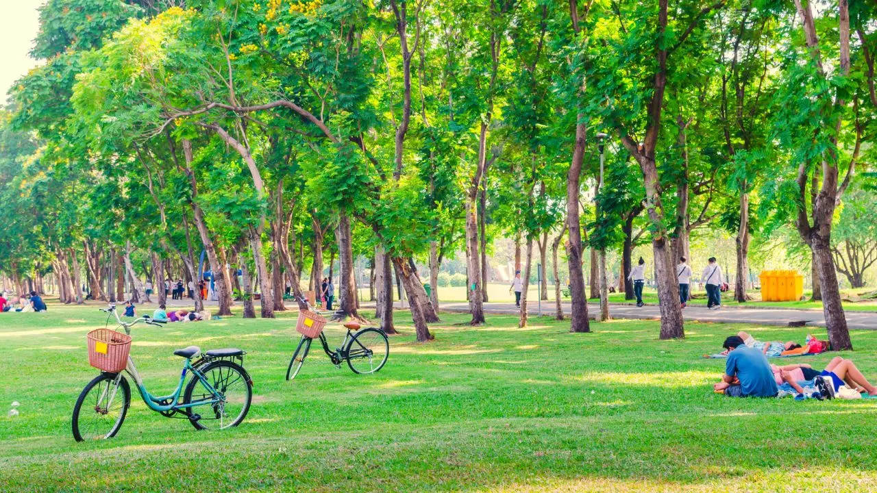 Patna Gandhi maidan children park