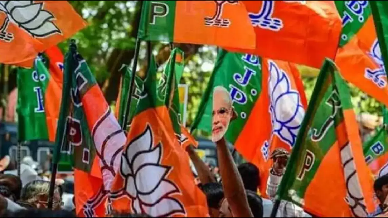 bjp flag