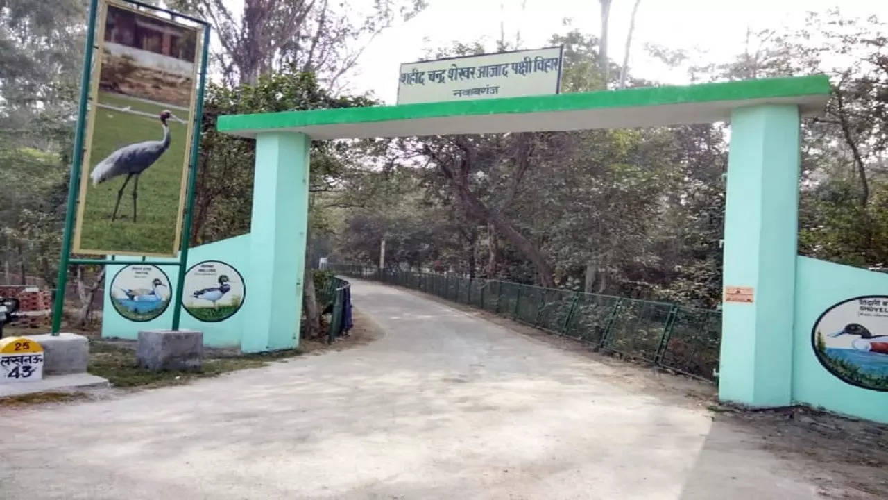 LUCKNOW Bird Sanctuary