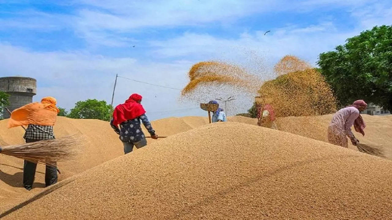 Wheat Price PTI