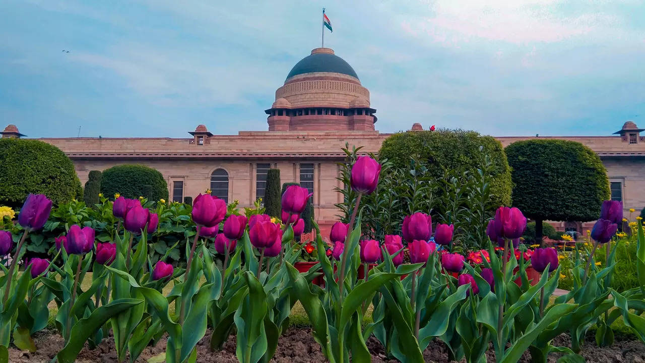 Mughal Garden