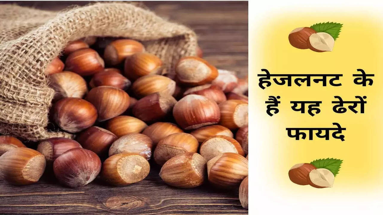 you can get many benefits by eating hazelnut but be careful before