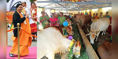 BJP MP -