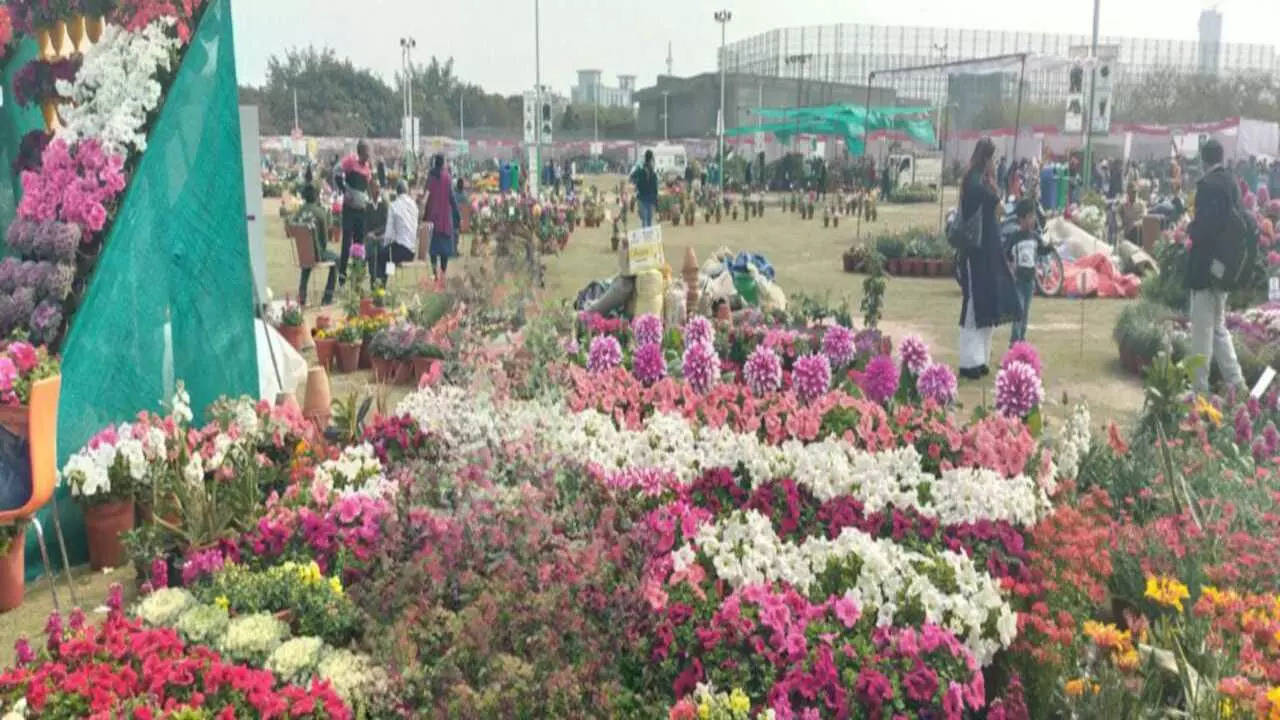 Noida Flower Show News