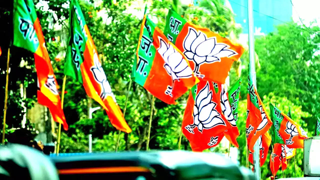 BJP FLAG