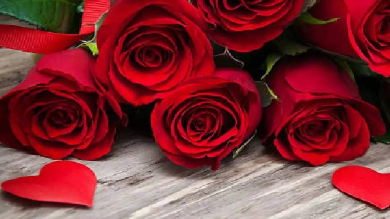Happy Rose Day 2023 My Love Jaan Wishes Images, Quotes, Shayari, Status,  Pics, Messages in Hindi: Share these Beautiful Quotes with Your Love and  Friends| Lifestyle News,Hindi News