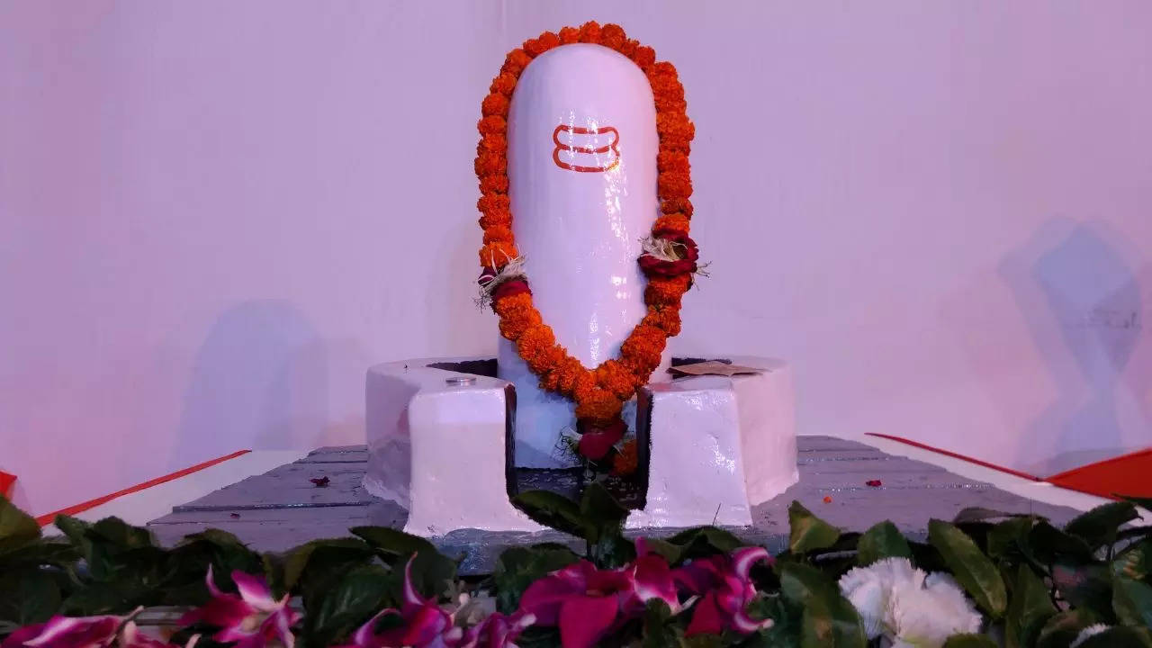 Mahashivratri 2023: महाशिवरात्रि पर अपनी राशि के अनुसार करें शिवजी का अभिषेक, मिलेगी कृपा