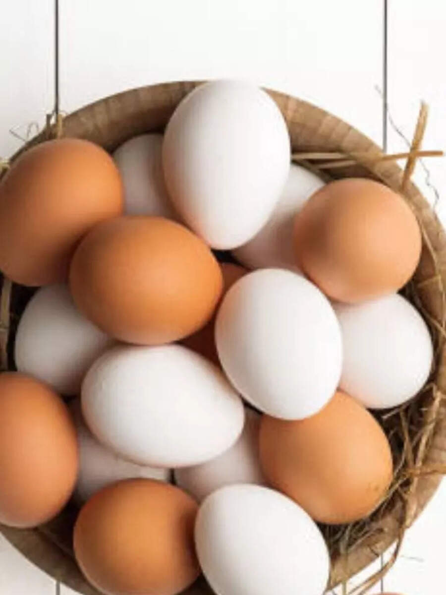 White Egg vs Brown Eggs white egg brown egg which is more beneficial