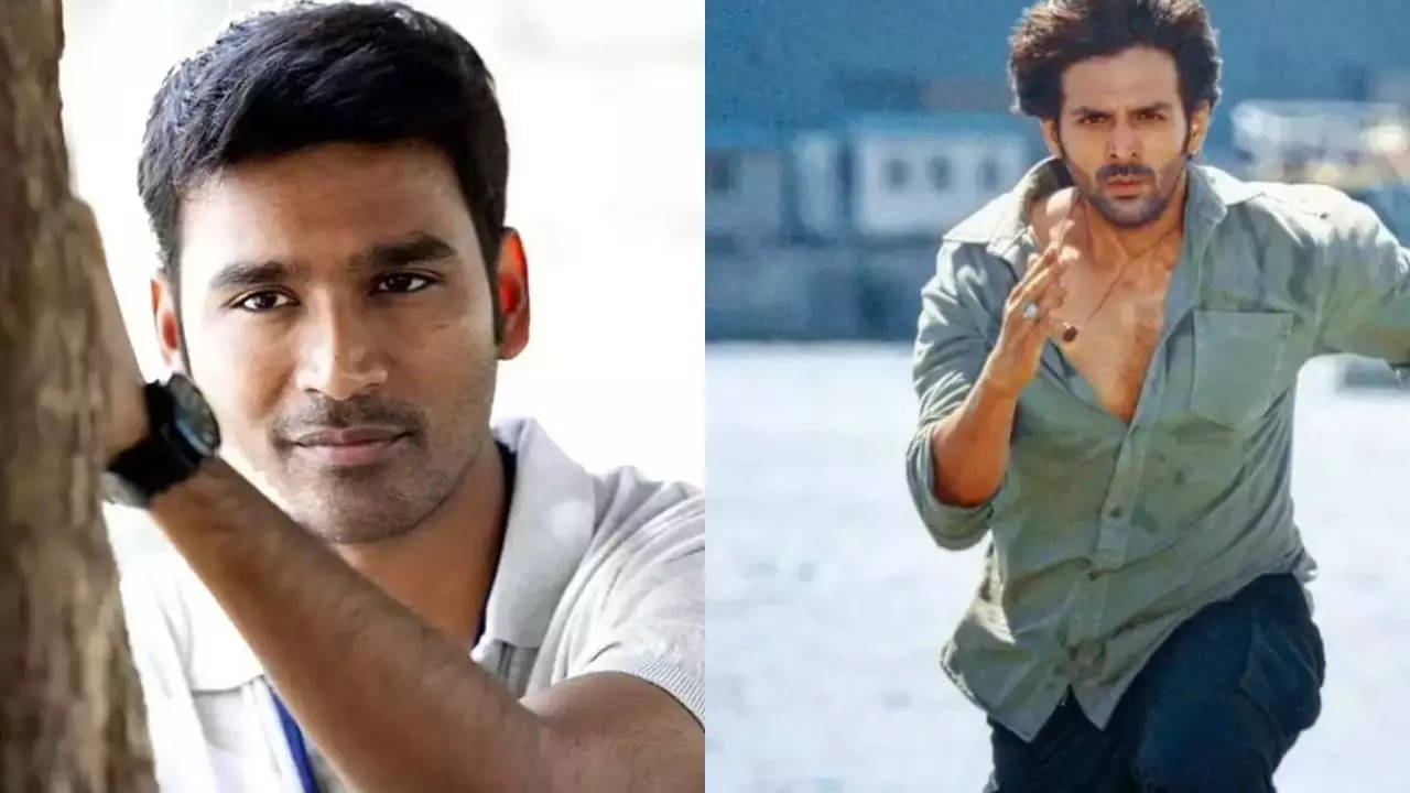 dhanush and kartik aaryan (1)