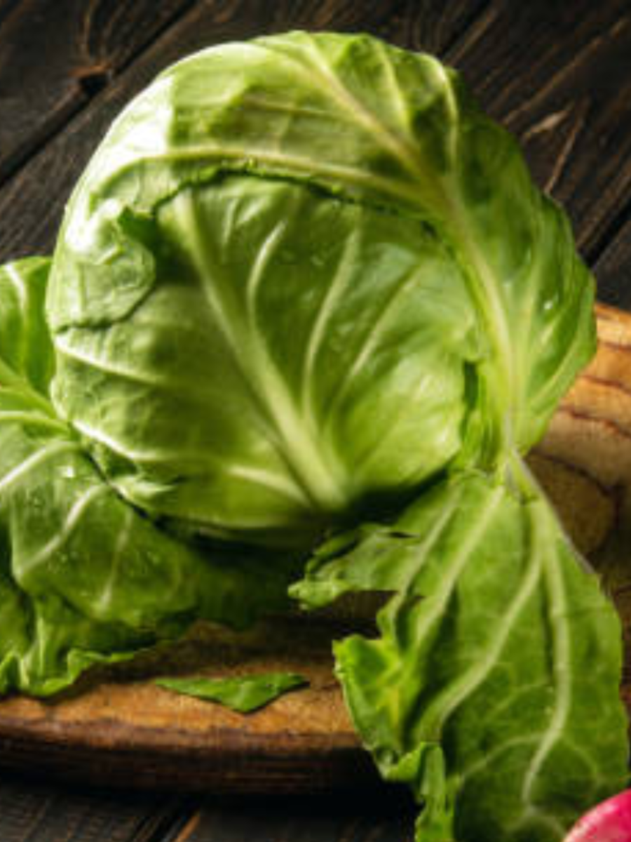 cabbage benefits in hindi patta gobhi ke fayde nukasaan, cabbage side