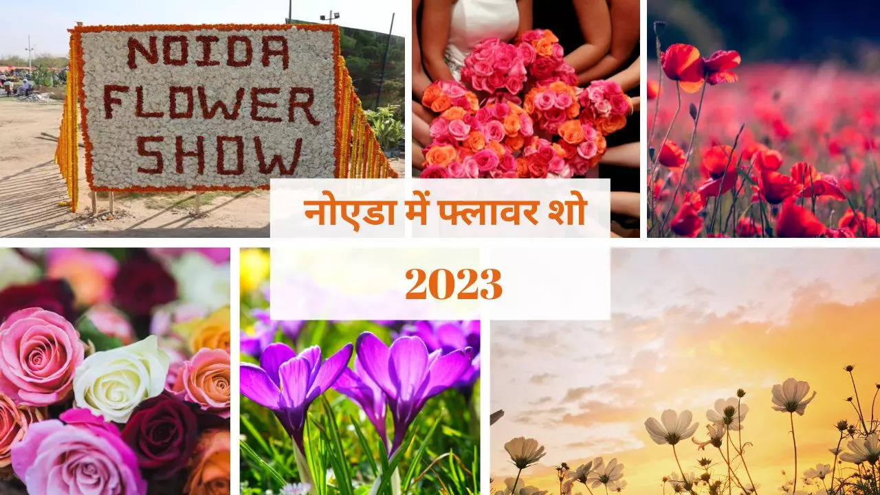 Noida Flower Show