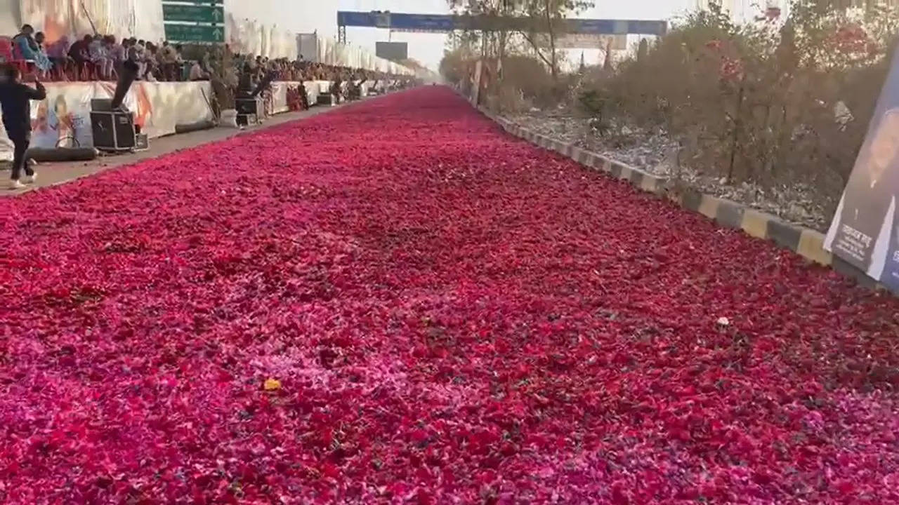 Rose Carpet for Priyanka Gandhi