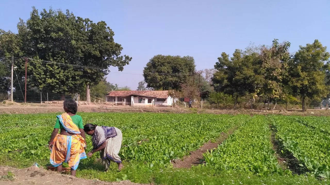 agra farmer