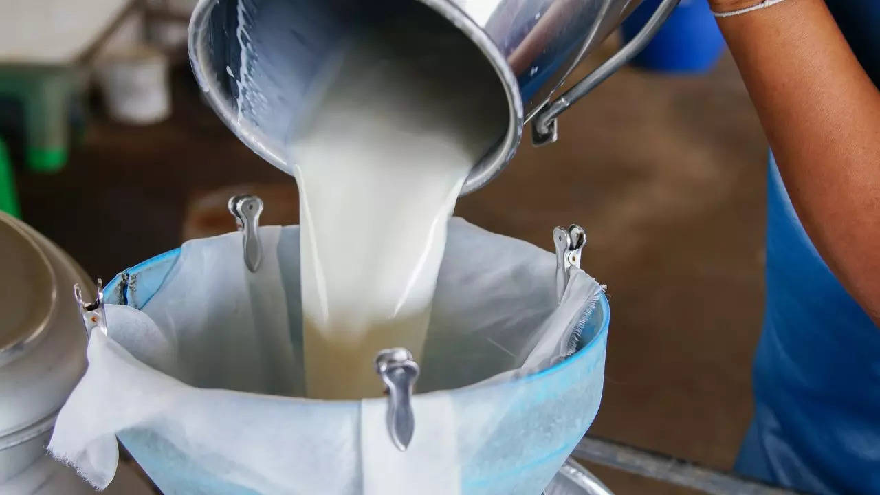 Adulteration in milk in Faridabad