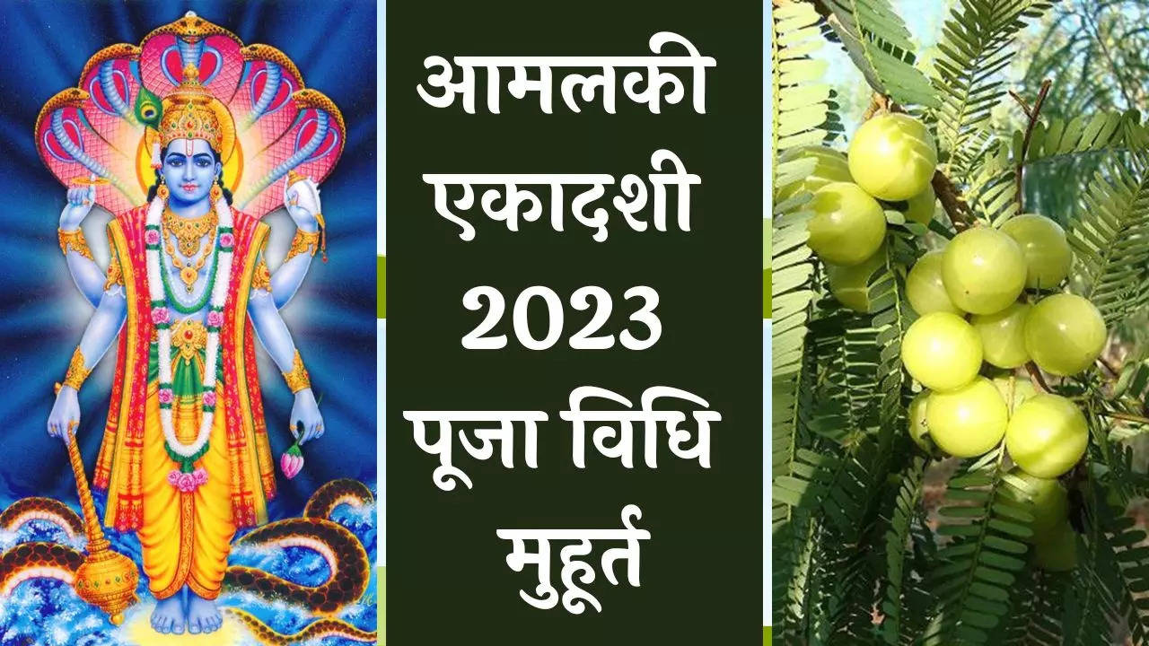 amalaki ekadashi 2023 muhurat