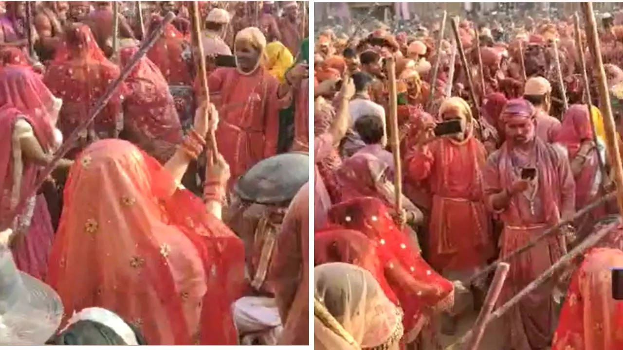 brij holi