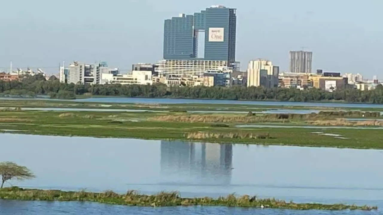 Lack of Water in Yamuna