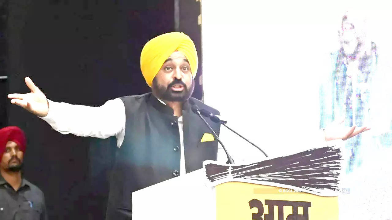 Punjab CM Mann on Goindwal jail gangwar