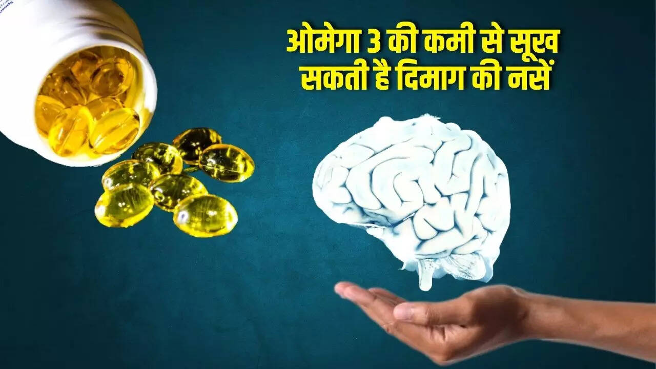Omega3 Foods ओमेगा 3 की कमी से सूख सकती है दिमाग की नसें, ब्रेन डेड