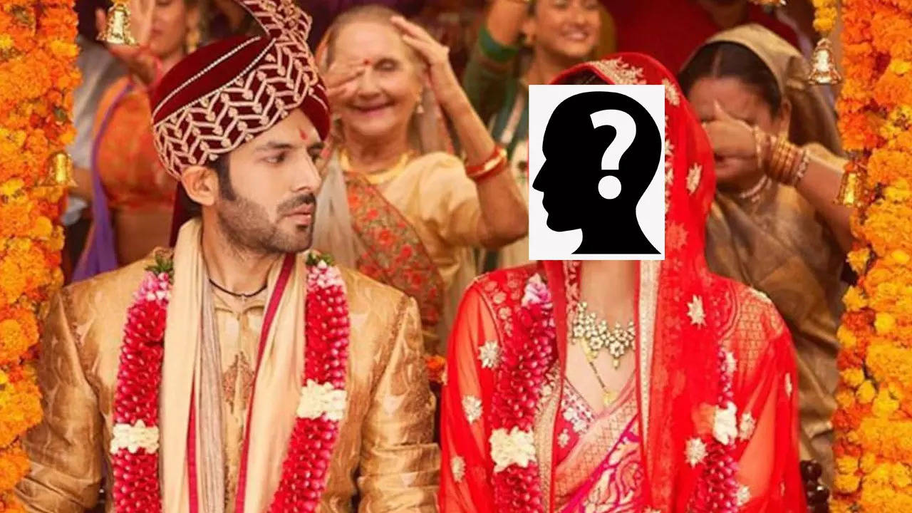 kartik aaryan wedding plan