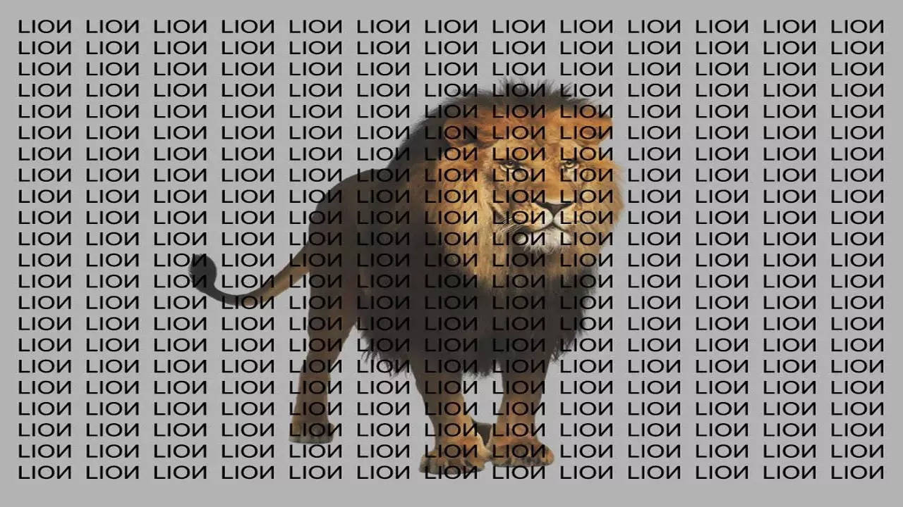 lion